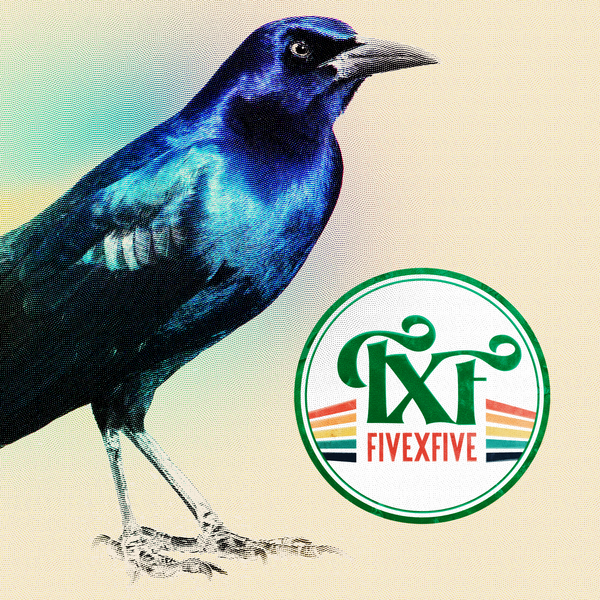 Grackle
