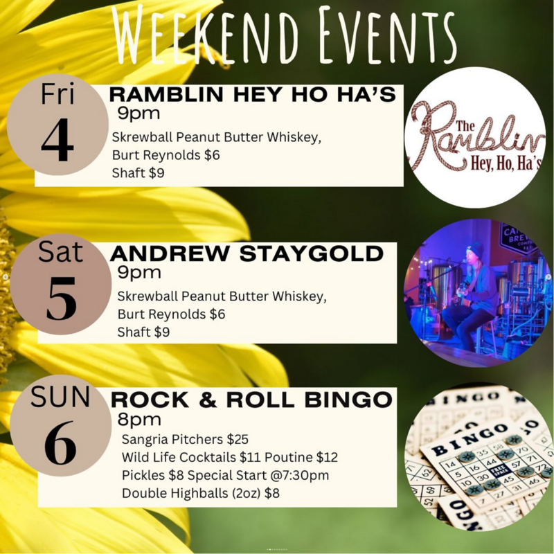 Andrew Staygold at Tavern! - Jun 13th @ Tavern 1883