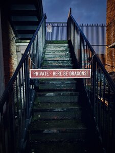 Here be Dragons by 
Clare Palmer