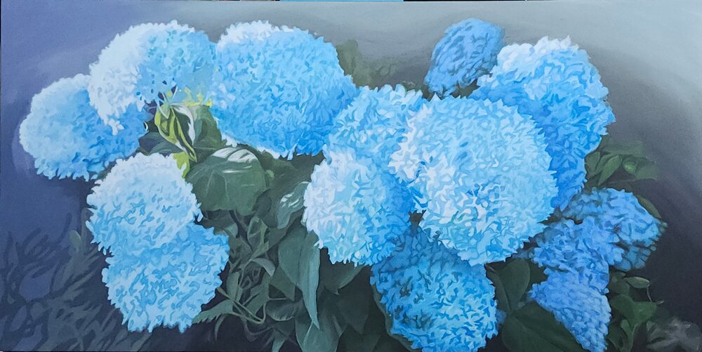 Blue Hydrangeas by 
James Nye