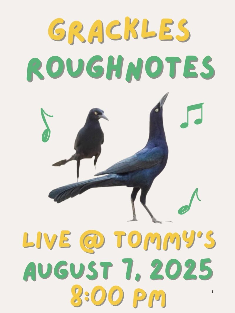 Grackles, The Roughnotes @ Tommy's - Aug 07, 2025