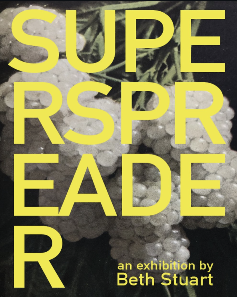 SUPERSPREADER - May 6th @ The Vault Gallery