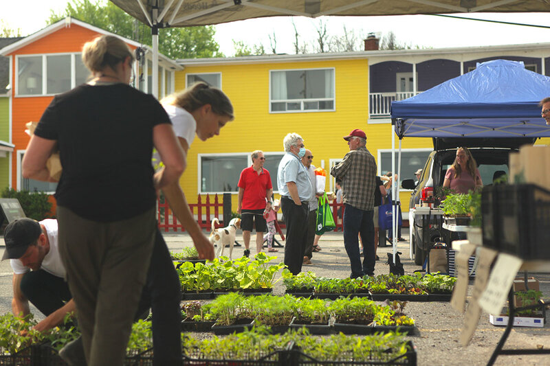 The Market at Wolfe Island Commons - May 6th @ Hotel Wolfe Island