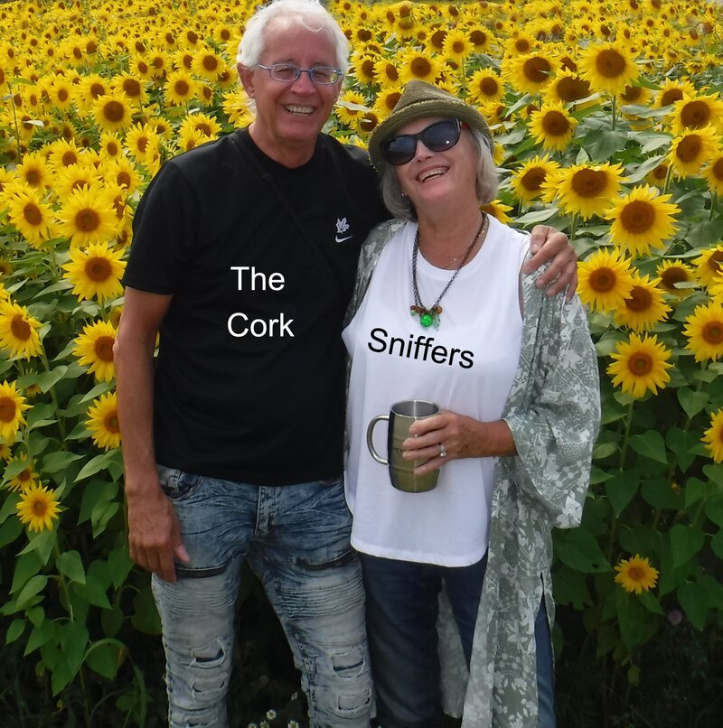 Bath Artfest: The Cork Sniffers @ Bath Centennial Park (South) Sep 13 2025 - May 6th @ Bath Centennial Park (South)