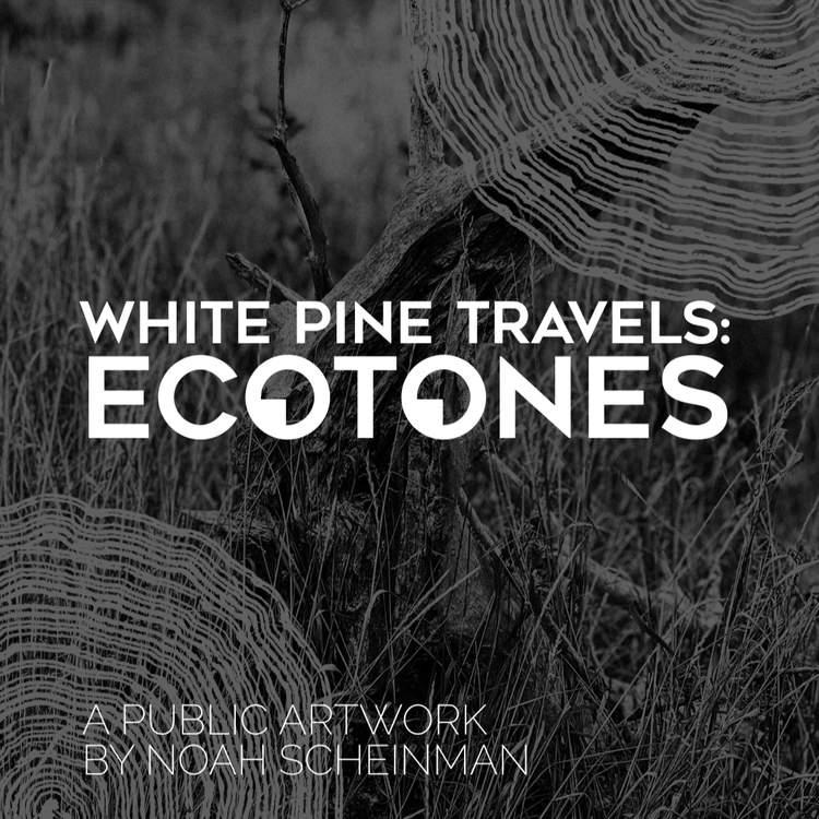 White Pine Travels: Ecotones - May 7th @ Broom Factory