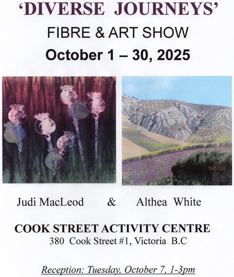 Diverse Journeys - Jun 4th @ Cook Street Village Activity Centre