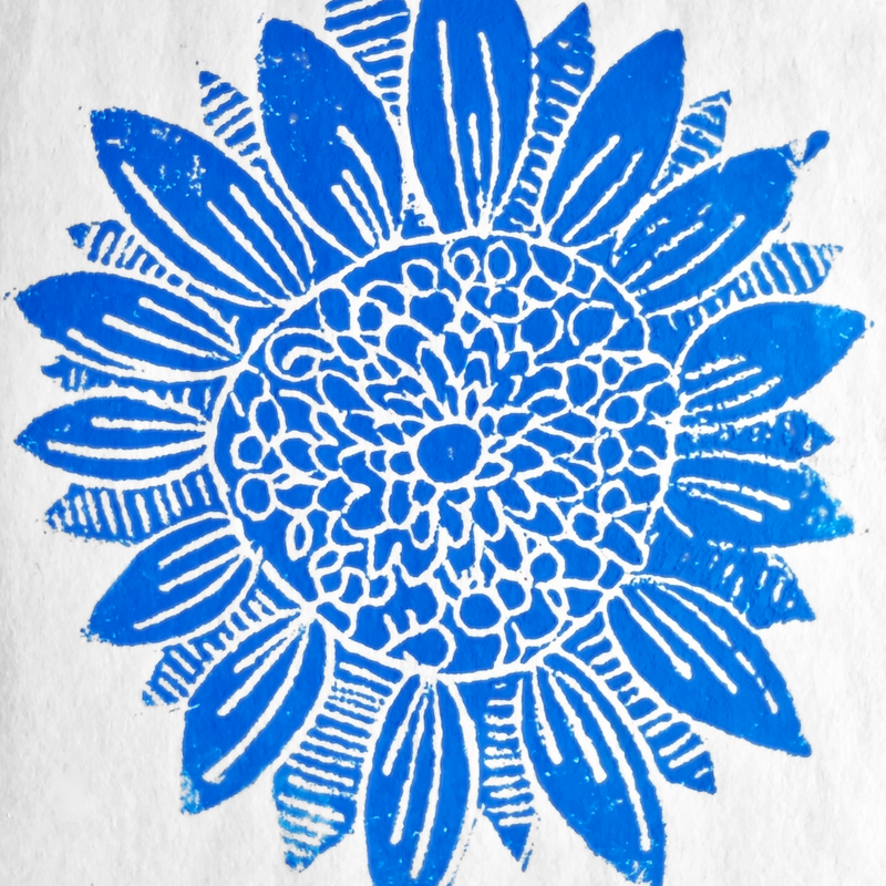 Family Sunday: Fun with Line - May 6th @ Art Gallery Of Greater Victoria