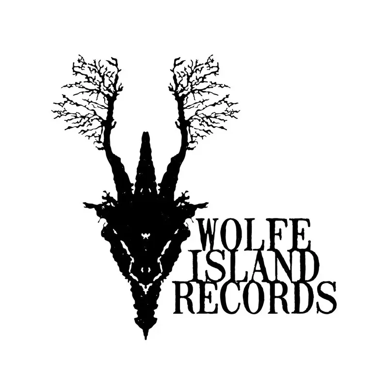 Wolfe Island Records Musical Review! - May 6th @ Hotel Wolfe Island