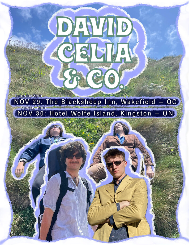 David Celia @ Hotel Wolfe Island Nov 30 2025 - Jun 14th @ Hotel Wolfe Island
