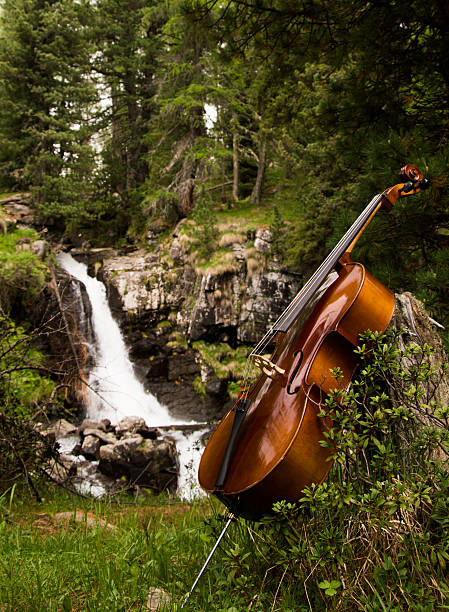 The Art of Flavour and Sound - May 23rd @ Villa Eyrie Resort