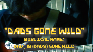 Dads Gone Wild (Guitar Playthrough)