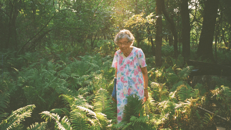 Agatha's Almanac - Jun 2nd @ The Screening Room