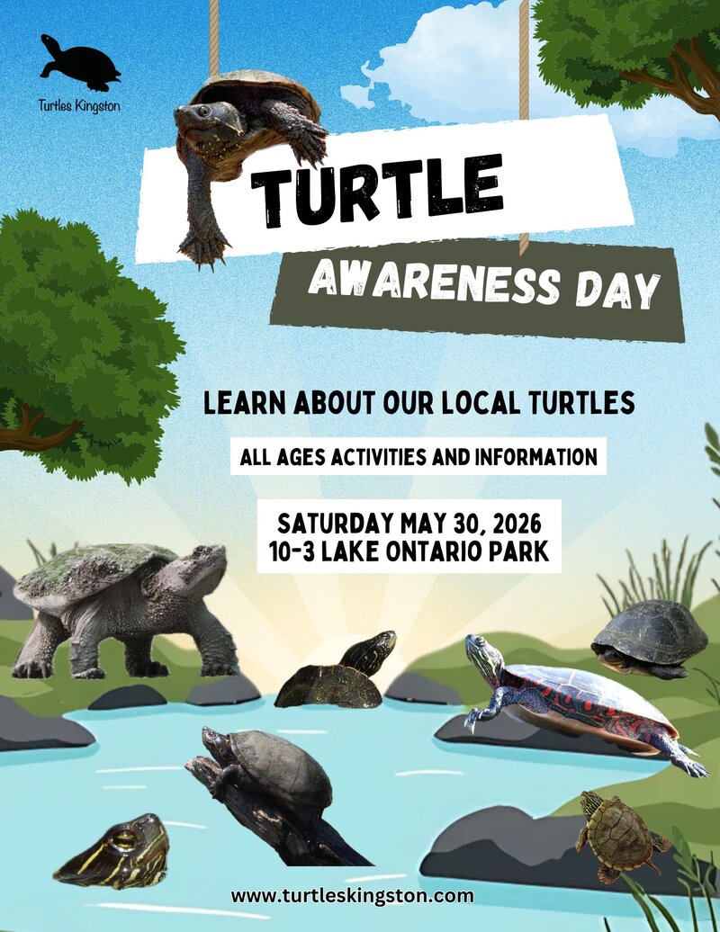 Turtle Awareness Day - Turtle Sing-Along: Margaret Moncrieff @ Lake Ontario Park May 30 2026 - May 6th @ Lake Ontario Park