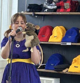 Mixtape: Nicci Rea of Sunshine @ Kingston Visitor Information Centre Mar 28 2026 - May 1st @ Kingston Visitor Information Centre