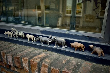 The Fernwood Zoo by 
Clare Palmer
