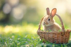 Easter Weekend Dinner Specials & a Kid's Coloring Contest - May 30th @ Merridale Cidery & Distillery