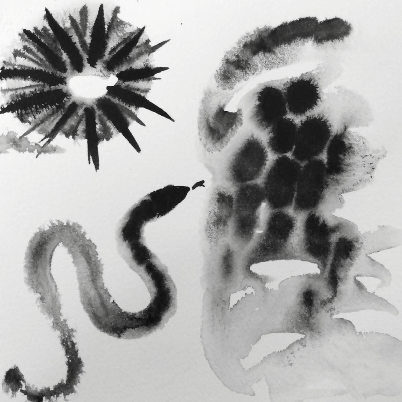 Family Sunday: Black and White - May 6th @ Art Gallery Of Greater Victoria
