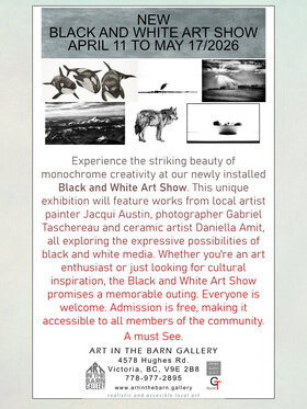 BLACK AND WHITE ART SHOW - Jun 28th @ Art In The Barn Gallery
