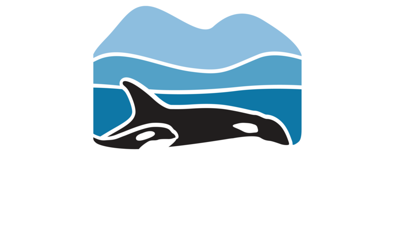 Ocean Week Orca Film Screening - May 7th @ Gage Gallery Arts Collective