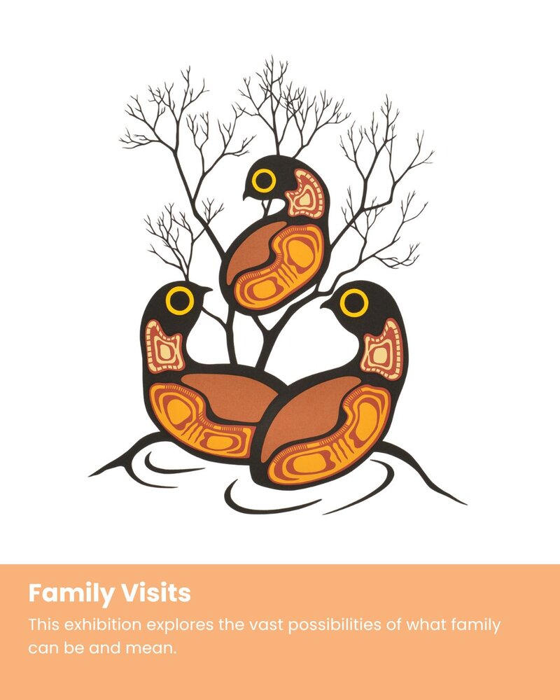 Family Visits - Jun 3rd @ Art Gallery Of Greater Victoria