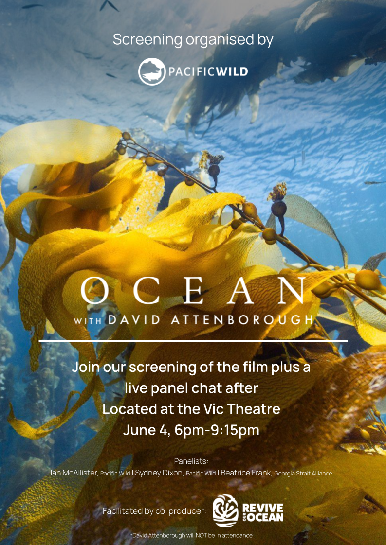 Film Screening: Ocean with David Attenborough and Panel Discussion - Jun 3rd @ Vic Theatre