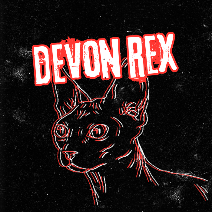 Profile Image: Devon Rex