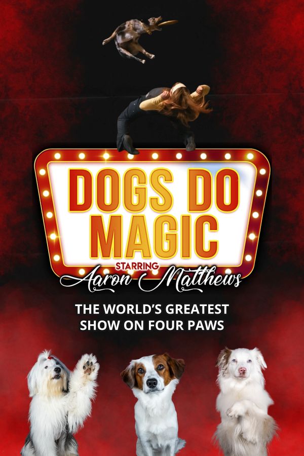 Dogs Do Magic: The Canine Circus, Aaron Matthews @ Kingston Grand Theatre Mar 12 2027 - Aug 22nd @ Kingston Grand Theatre
