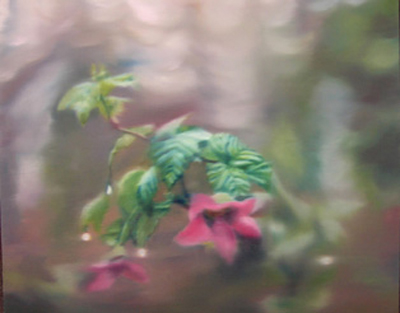 Salmon berry by 
Ben van Netten