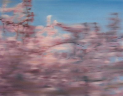 Cherry Blossoms by 
Ben van Netten