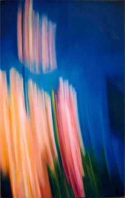 Flowers by 
Ben van Netten