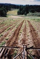 Cultivator