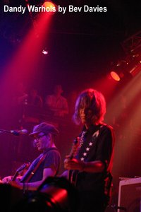 The Upsidedown / The Dandy Warhols